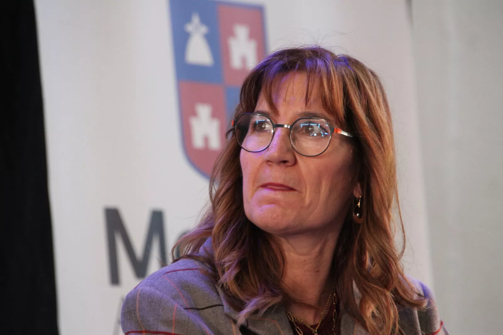 Feria del Libro Aragonés de Monzón 2025. Foto Carlos Neofato 