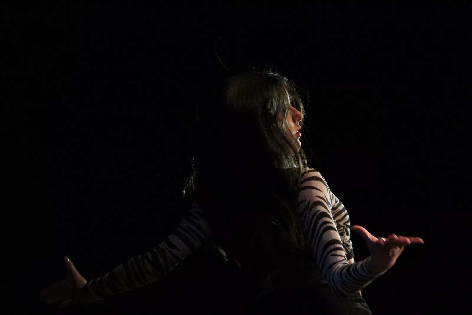  II Gala de Artistas Locales de Robres. Foto Carlos Neofato 