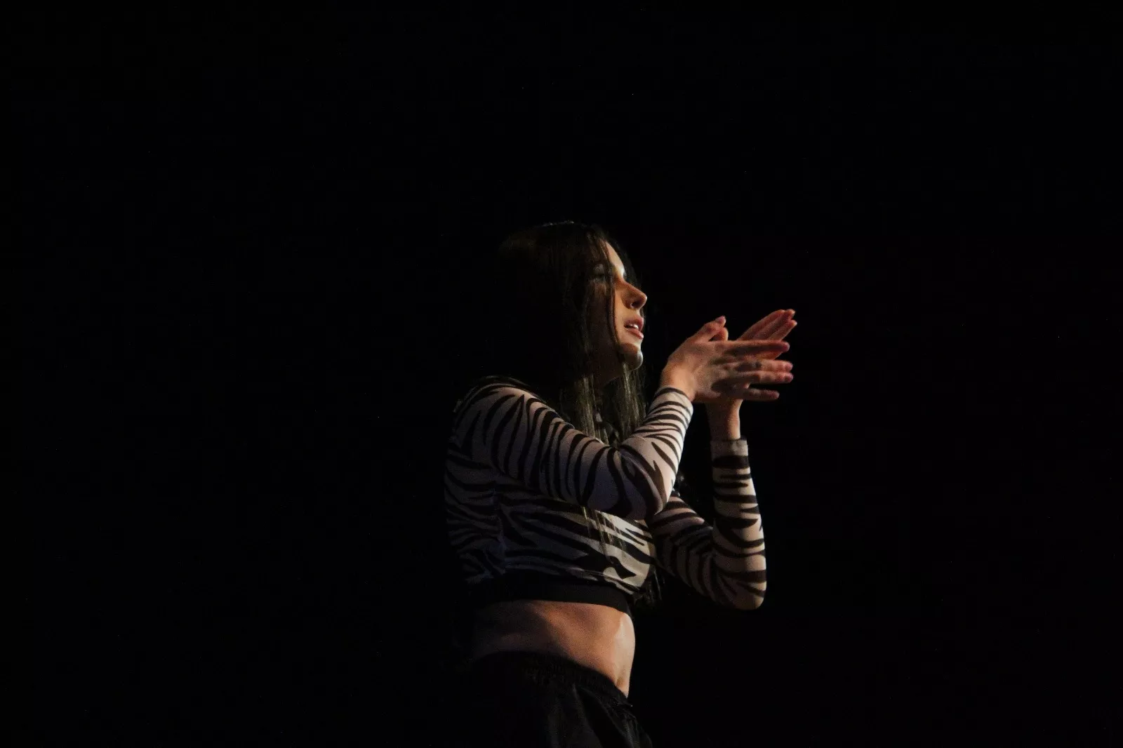  II Gala de Artistas Locales de Robres. Foto Carlos Neofato 