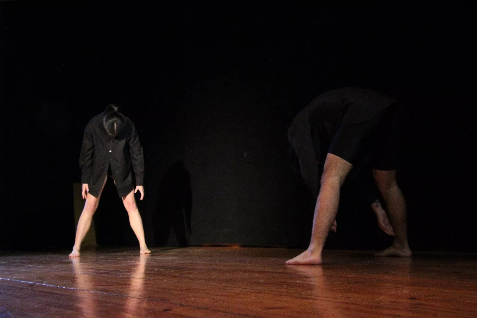  II Gala de Artistas Locales de Robres. Foto Carlos Neofato 