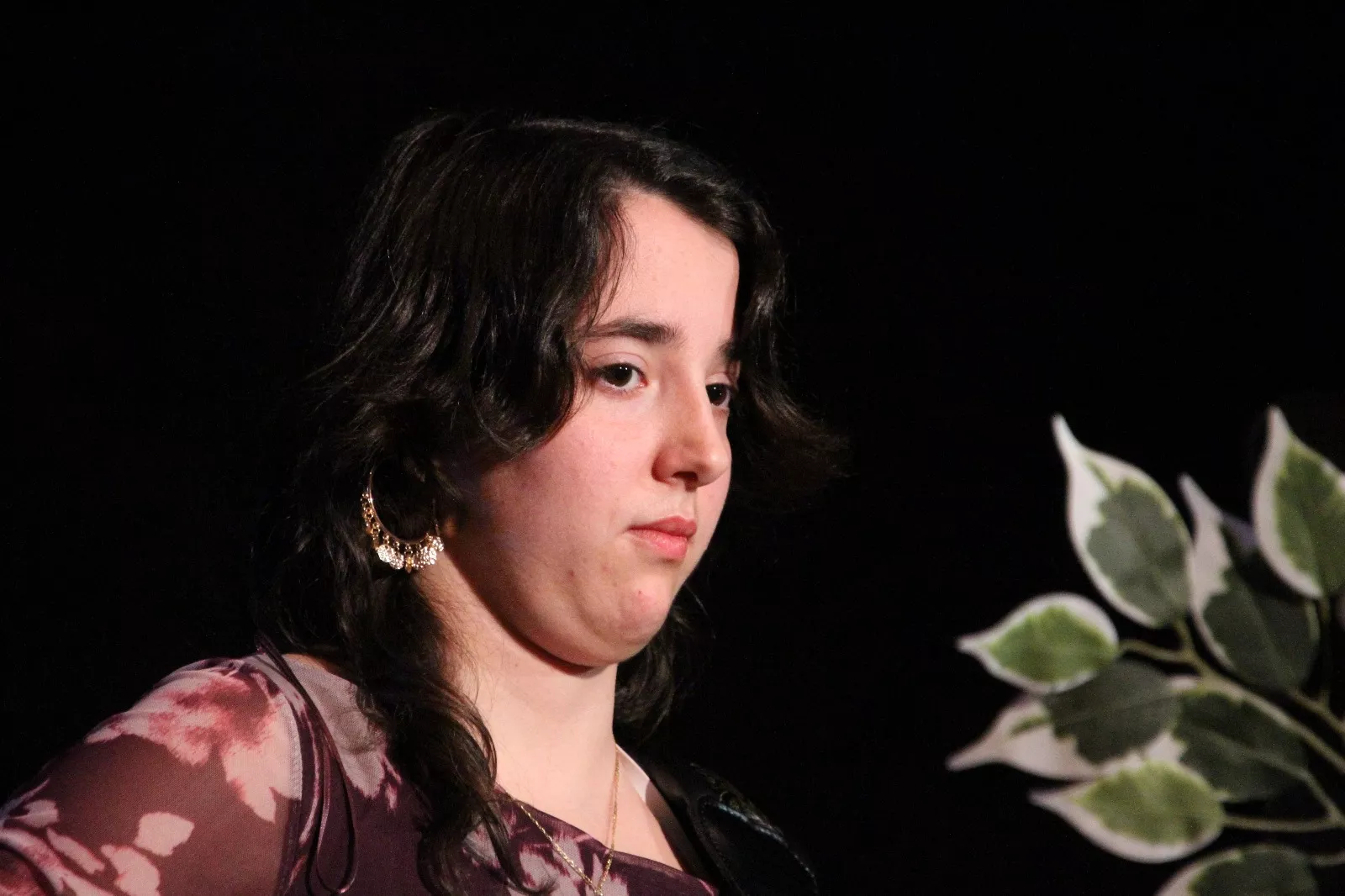  II Gala de Artistas Locales de Robres. Foto Carlos Neofato 