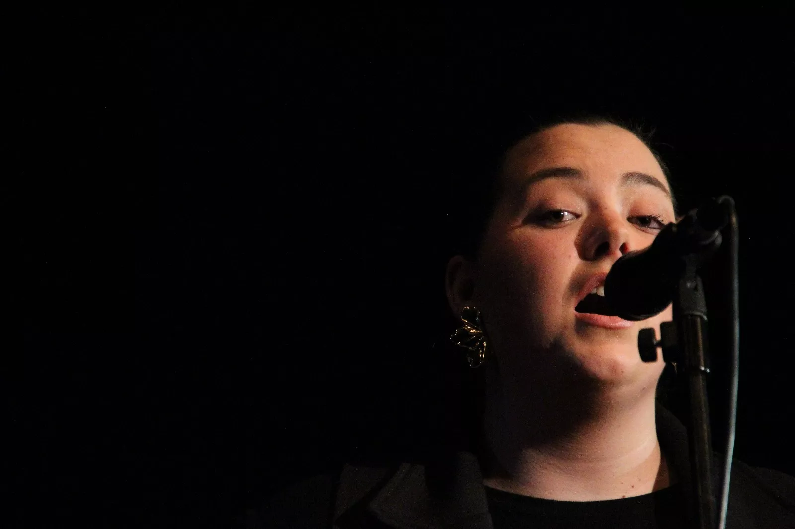  II Gala de Artistas Locales de Robres. Foto Carlos Neofato 