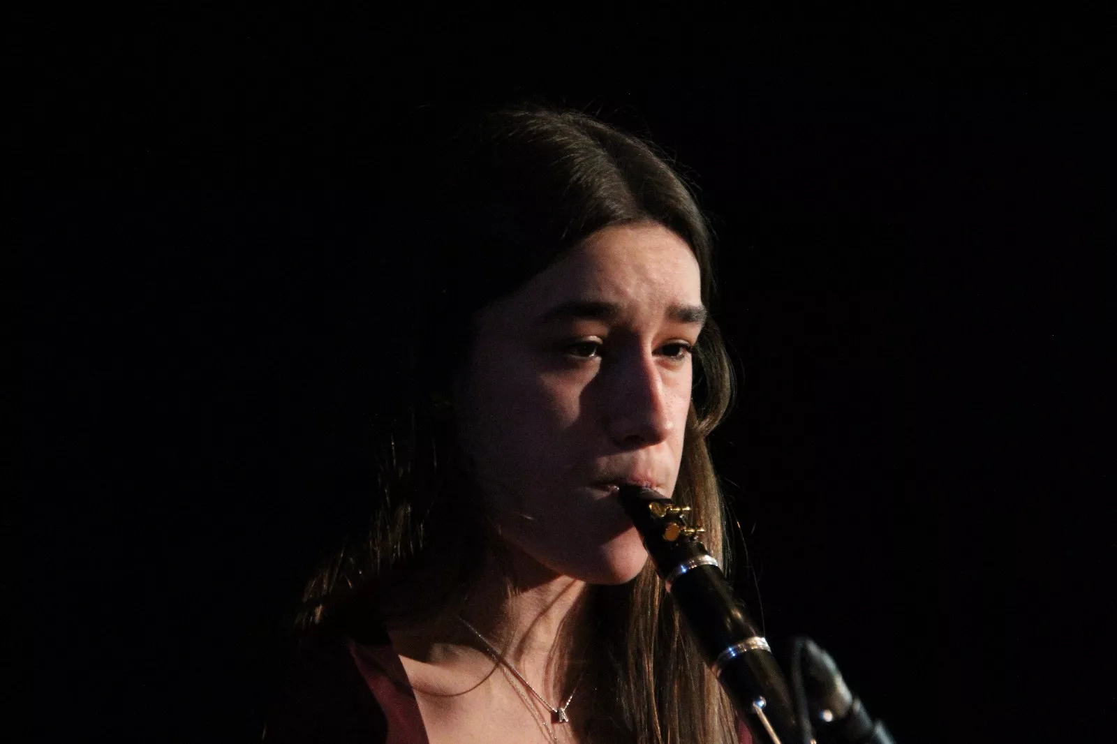  II Gala de Artistas Locales de Robres. Foto Carlos Neofato 