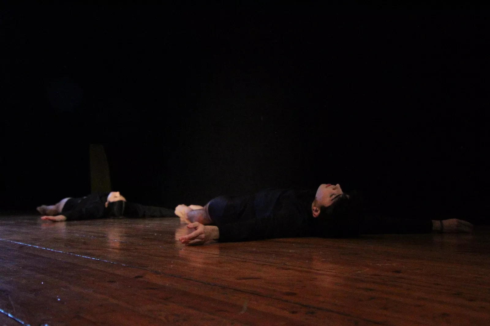  II Gala de Artistas Locales de Robres. Foto Carlos Neofato 