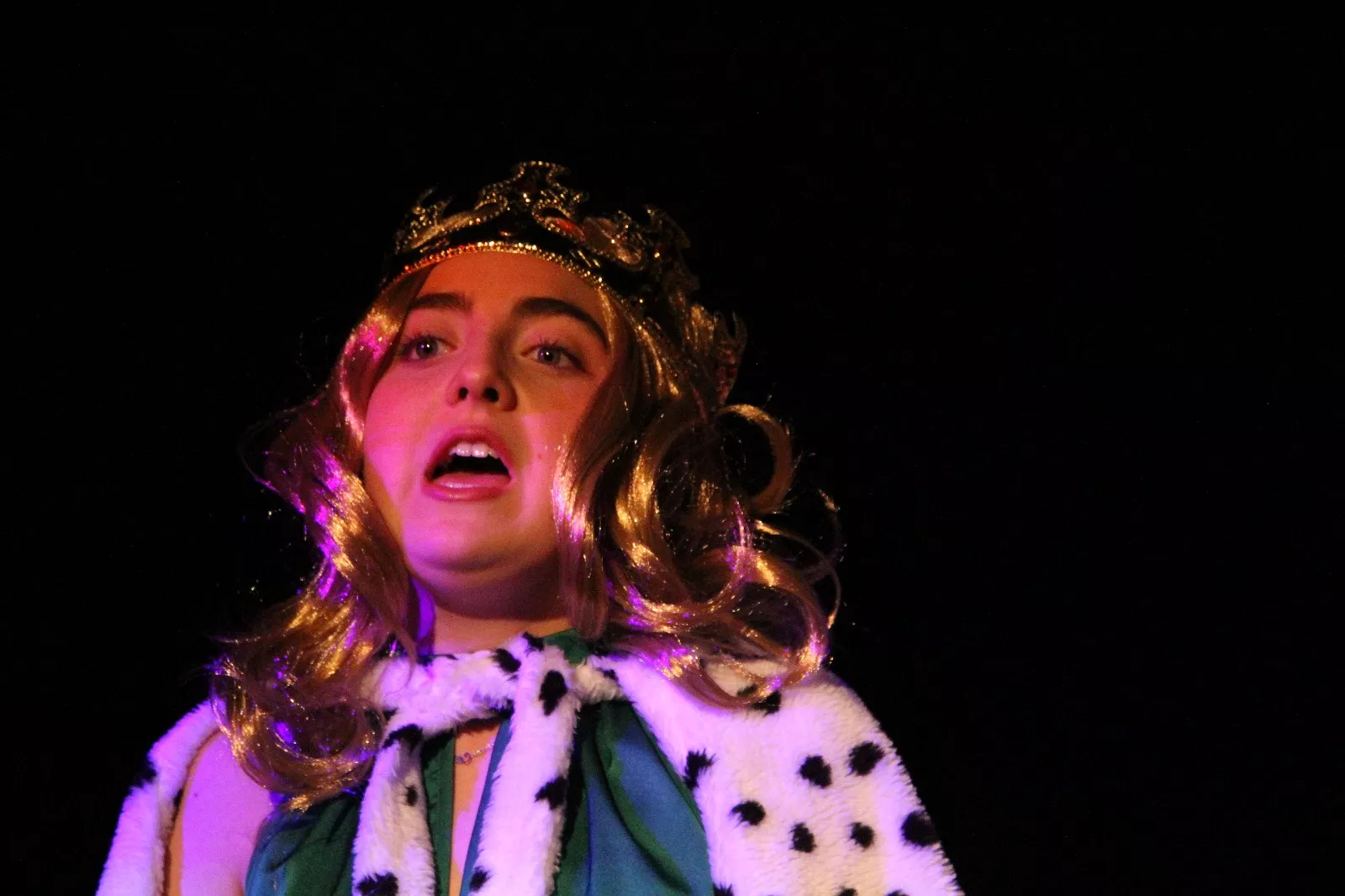  II Gala de Artistas Locales de Robres. Foto Carlos Neofato 