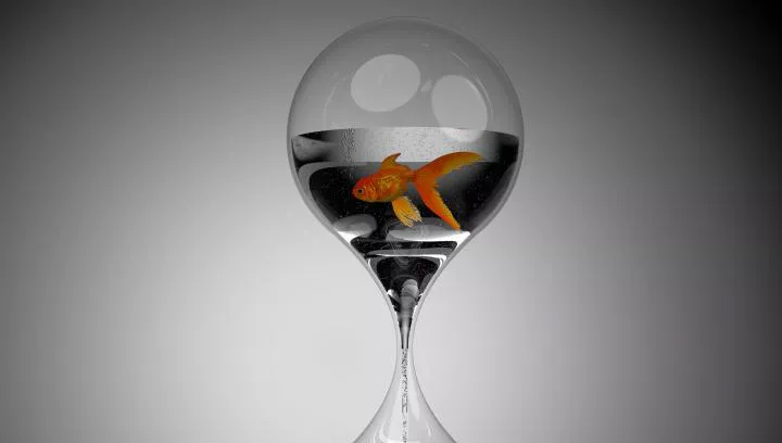 Exposición Planeta Agua en el Palacio de Villahermosa. Exposición Planeta Agua en el Palacio de Villahermosa.