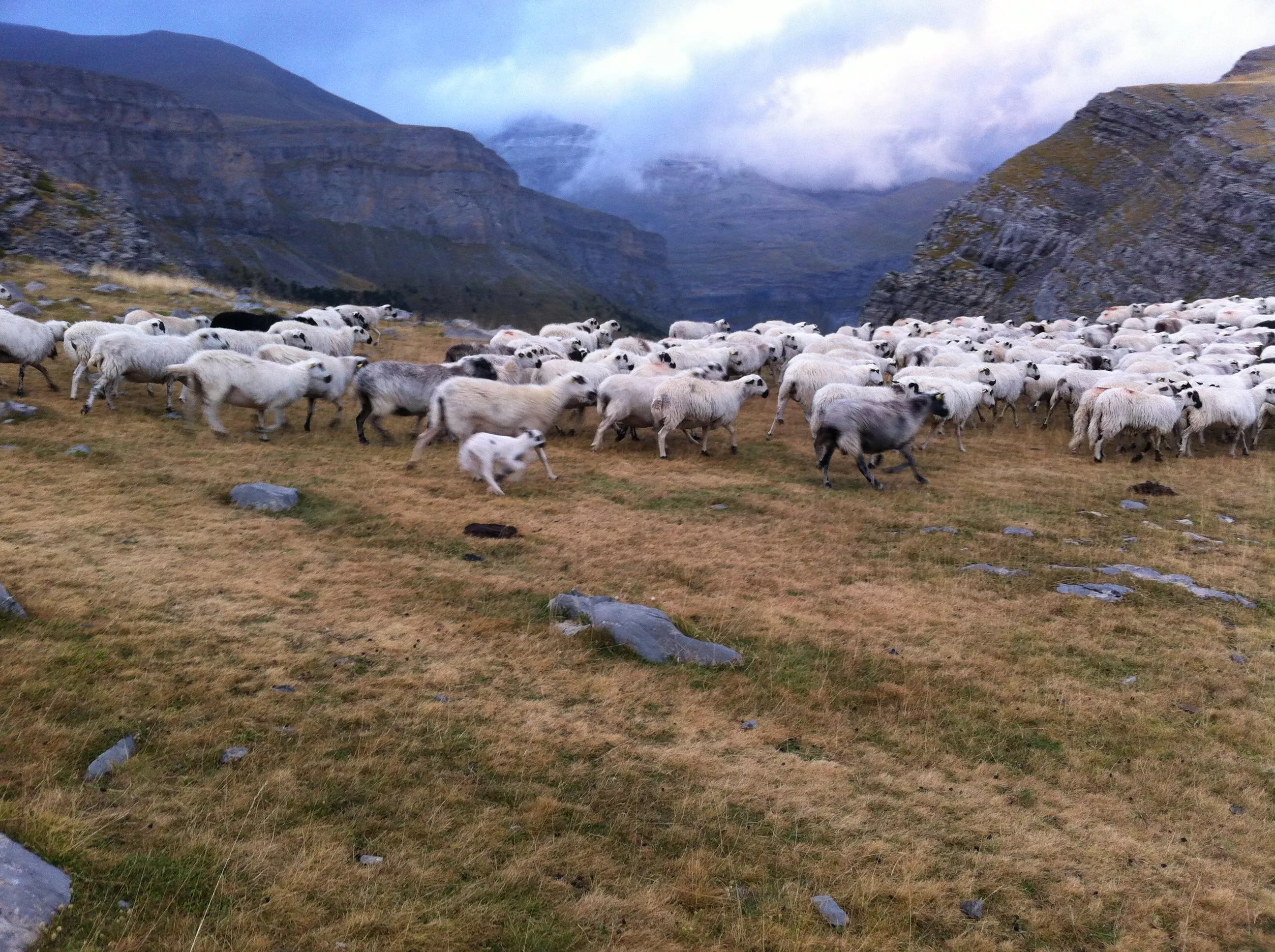 Parque Nacional de Ordesa y Monte Perdido Parque Nacional de Ordesa y Monte Perdido