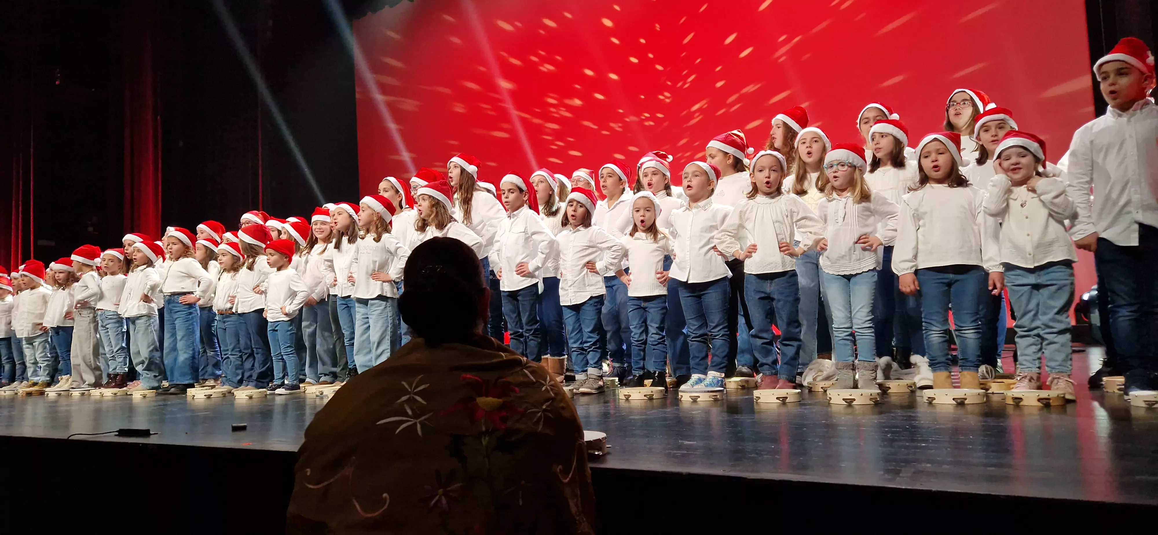 Gala Amigos de Roberto a beneficio de Aspanoa. Foto Myriam Martínez