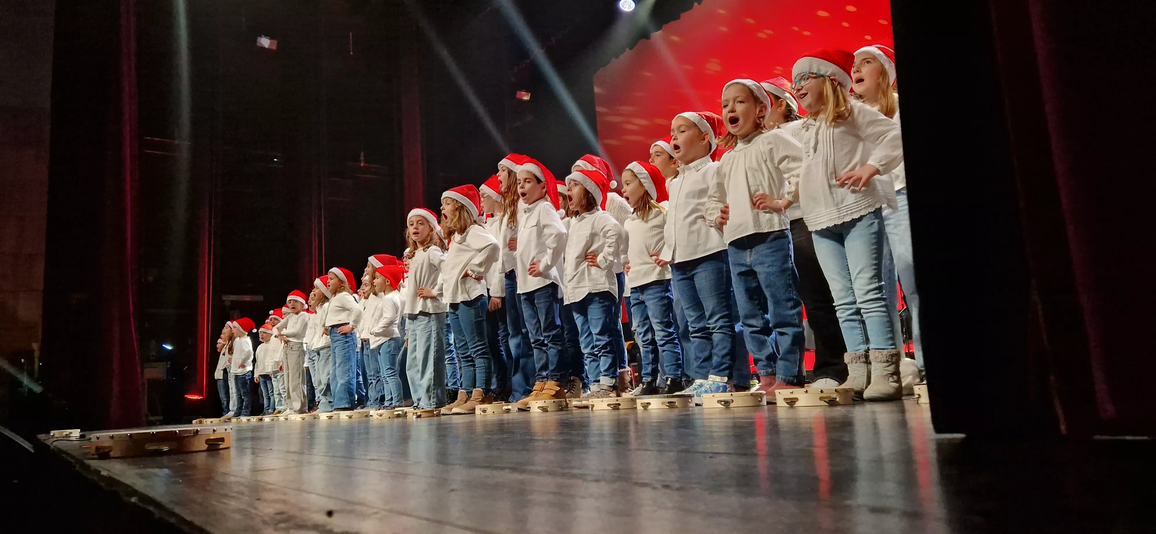 Gala Amigos de Roberto a beneficio de Aspanoa. Foto Myriam Martínez