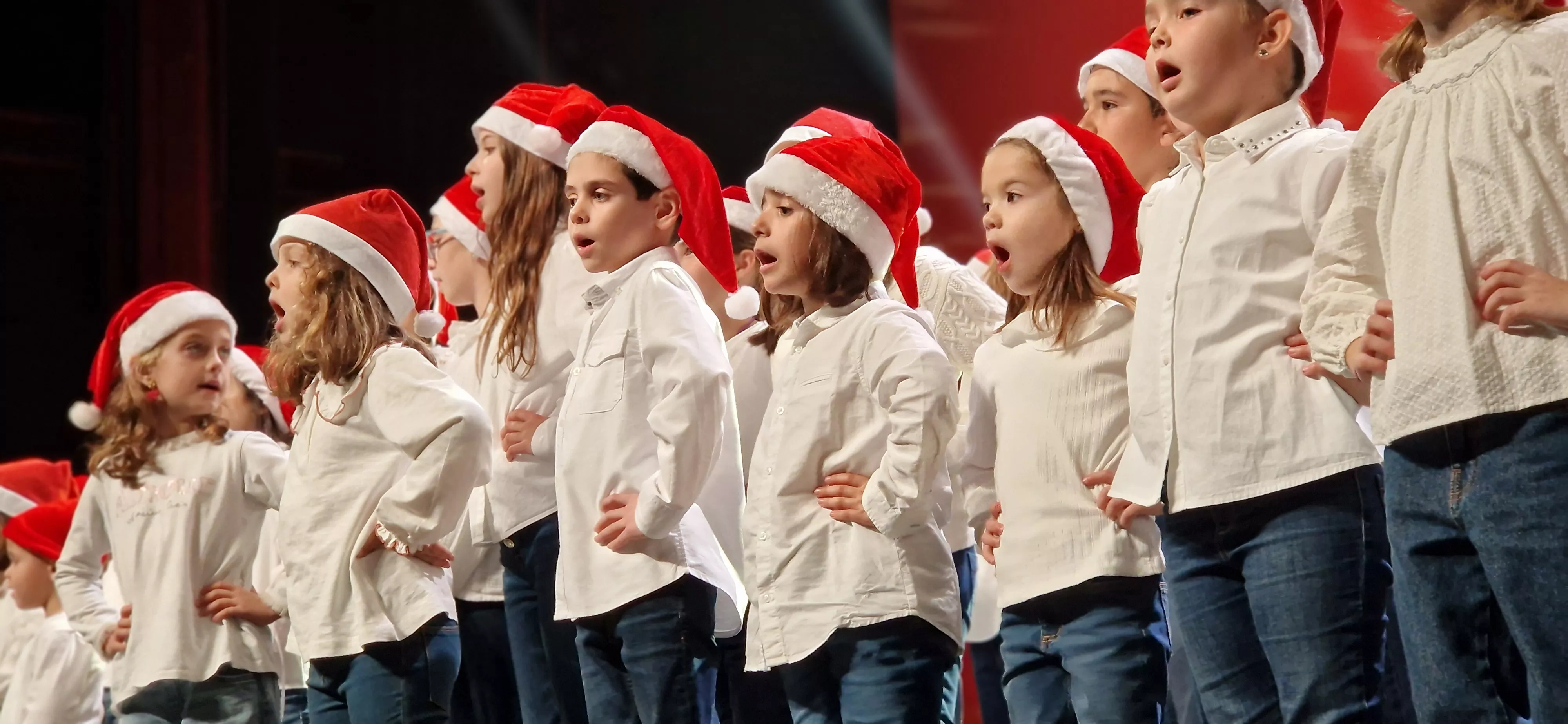 Gala Amigos de Roberto a beneficio de Aspanoa. Foto Myriam Martínez