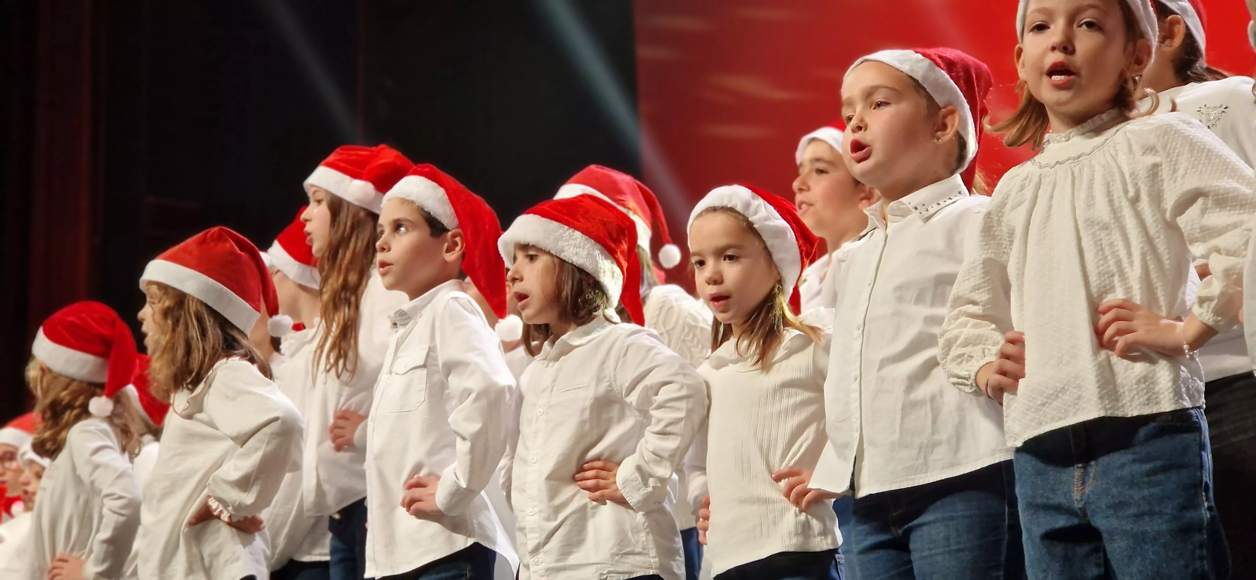 Gala Amigos de Roberto a beneficio de Aspanoa. Foto Myriam Martínez