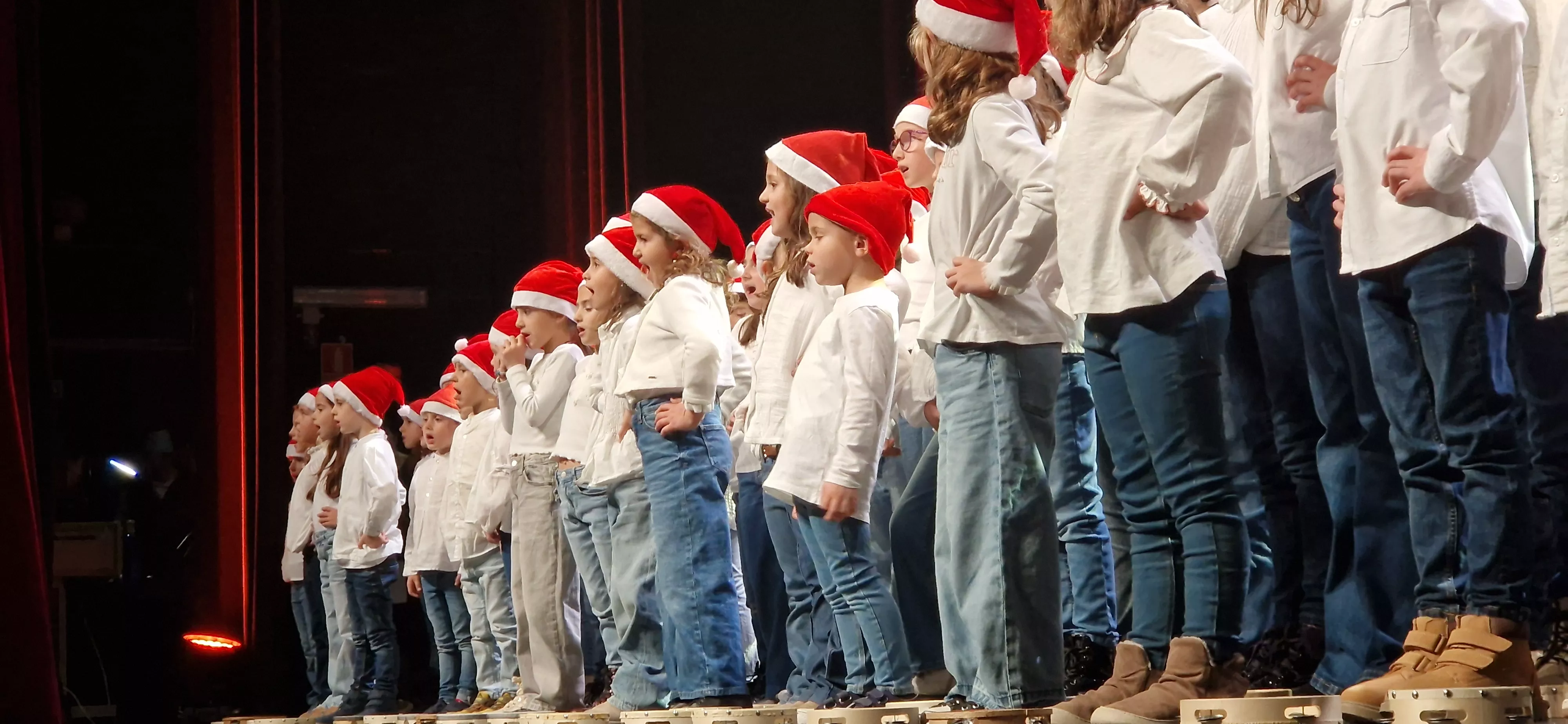 Gala Amigos de Roberto a beneficio de Aspanoa. Foto Myriam Martínez