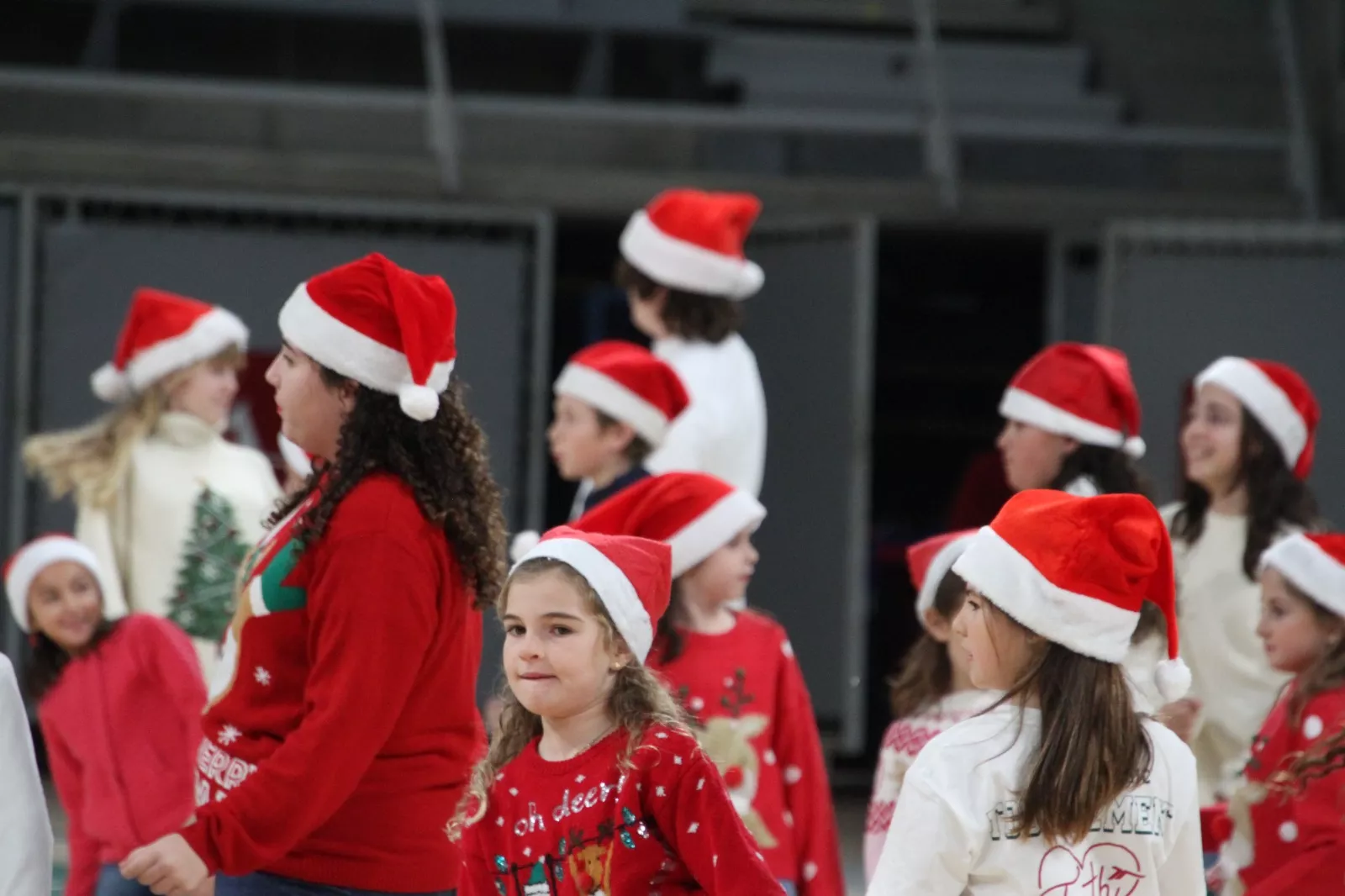 Gala navideña de Elenco. Foto Carlos Neofato