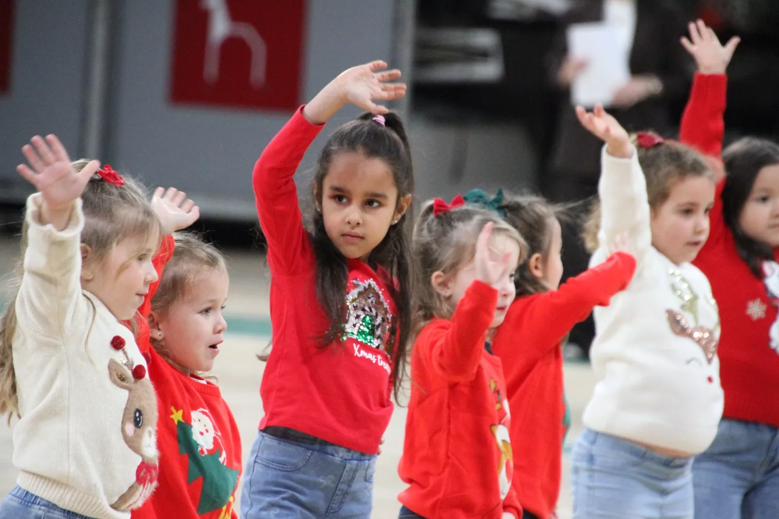 Gala navideña de Elenco. Foto Carlos Neofato