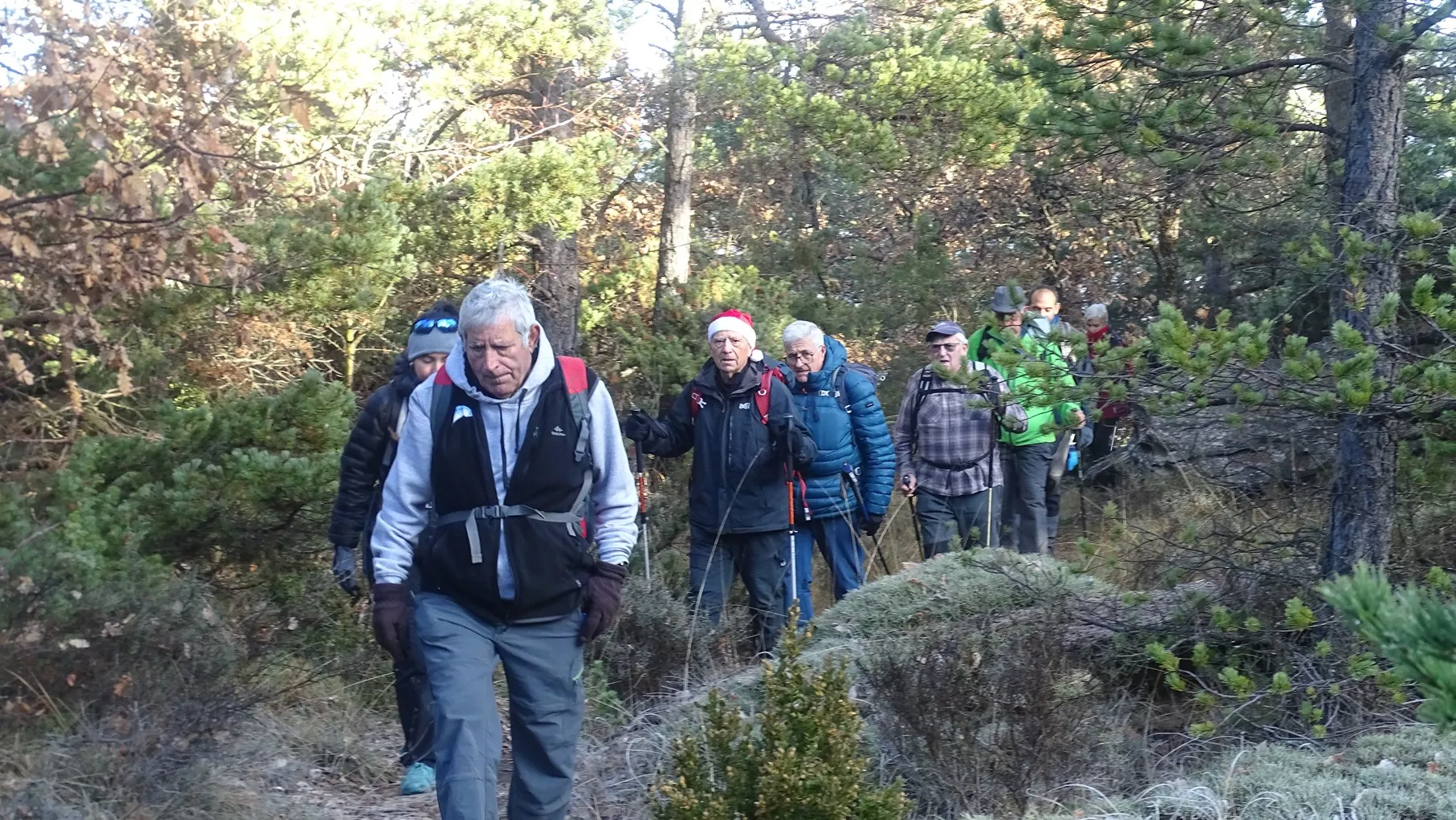 Por el bosque de Can d'Used. Foto Alfredo Zazo