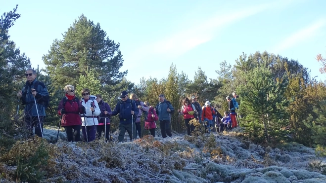 06 hacia Used (5) 06 hacia Used (5)