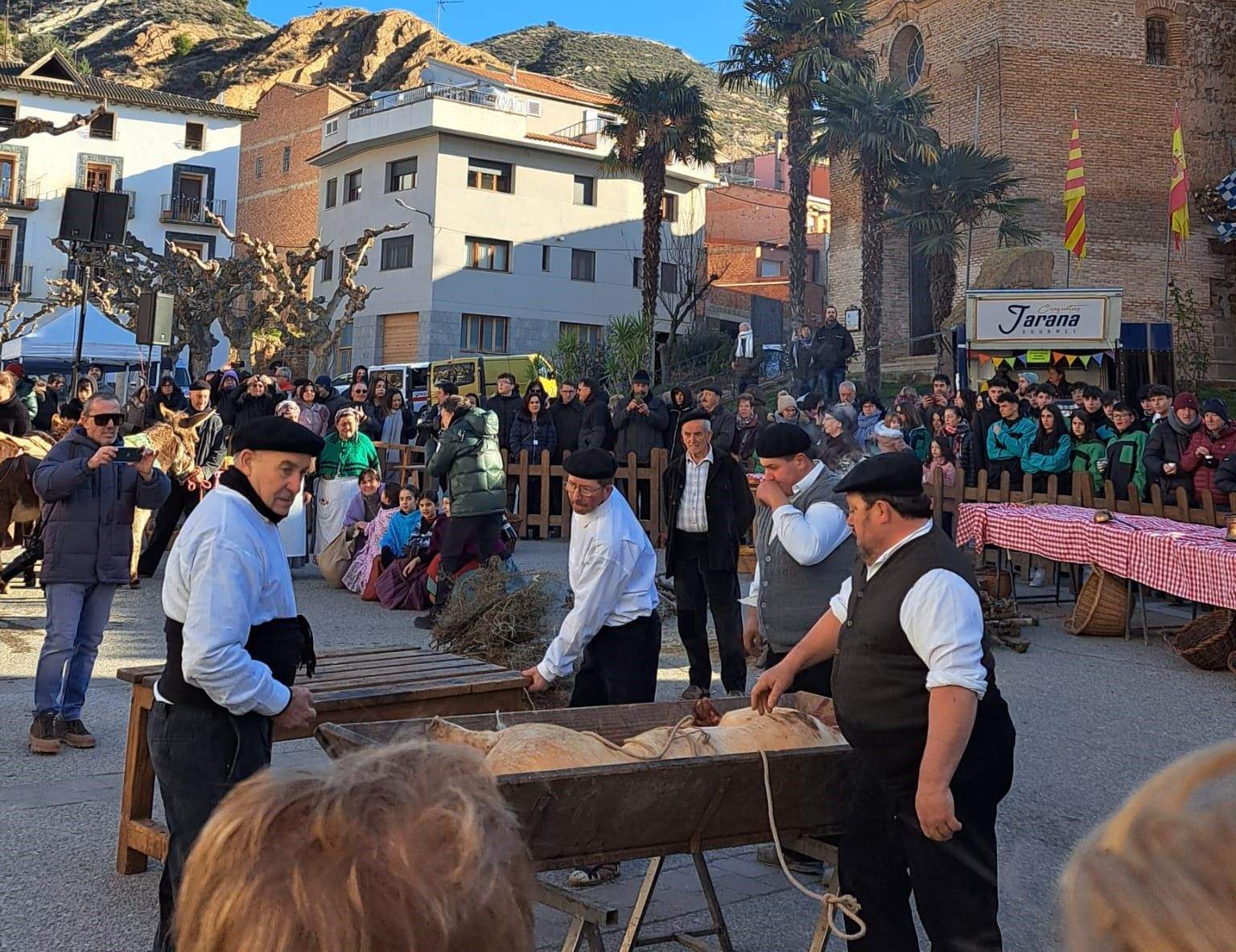 Imágenes de la Festa del Tossino de Albelda. 