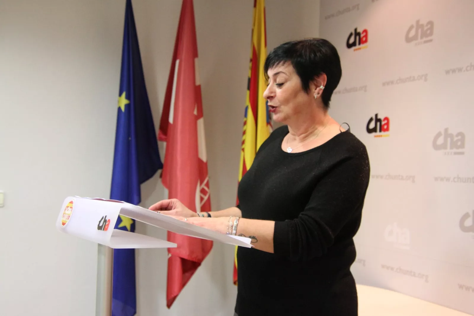 Sonia Alastruey. Premio Defensa de Derechos y Libertades de Aragón 2025 a Luis Lles. Foto Carlos Neofato