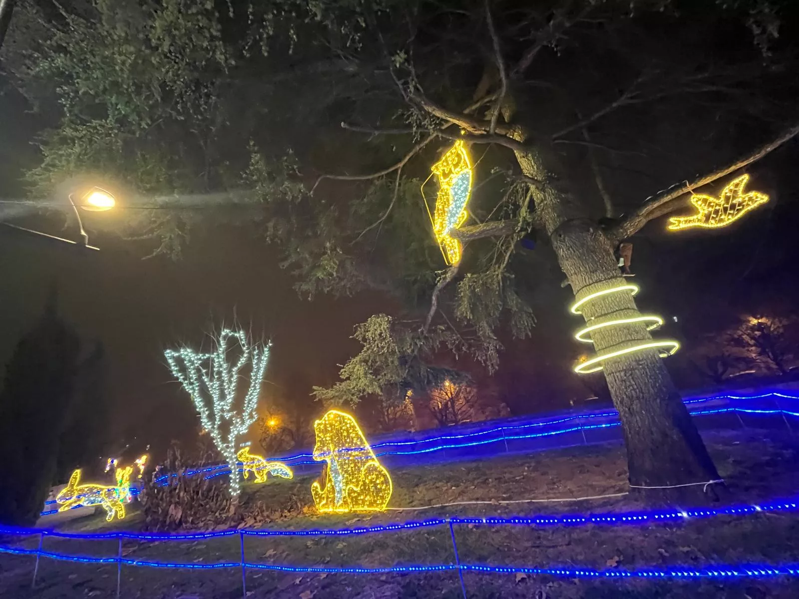 Monzón se ilumina esta Navidad. Foto Mercedes Manterola