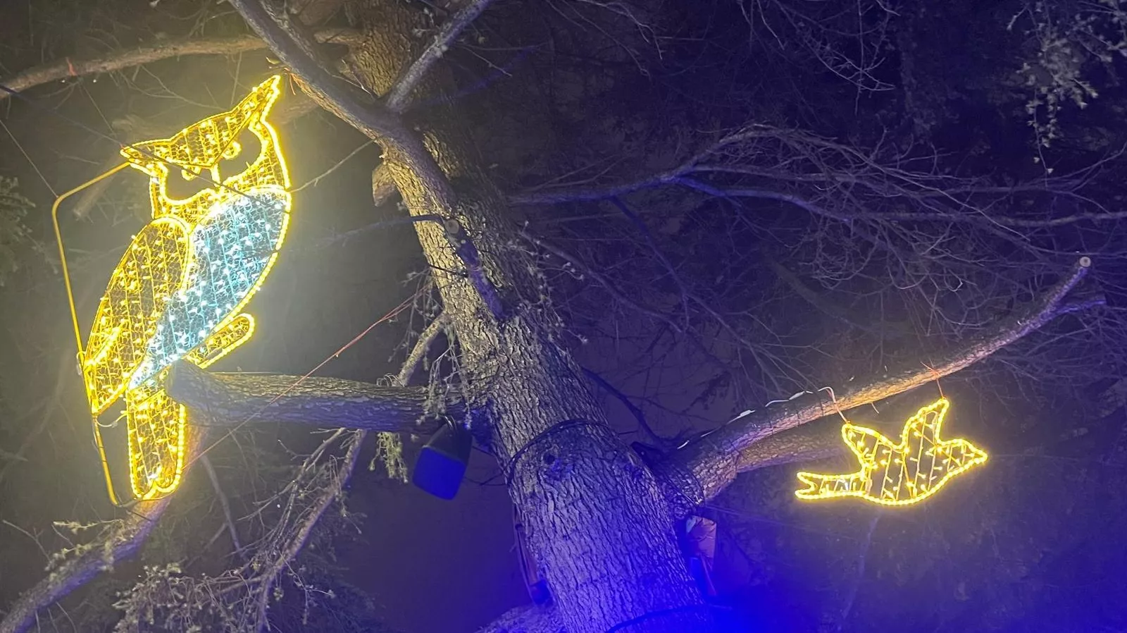 Monzón se ilumina esta Navidad. Foto Mercedes Manterola