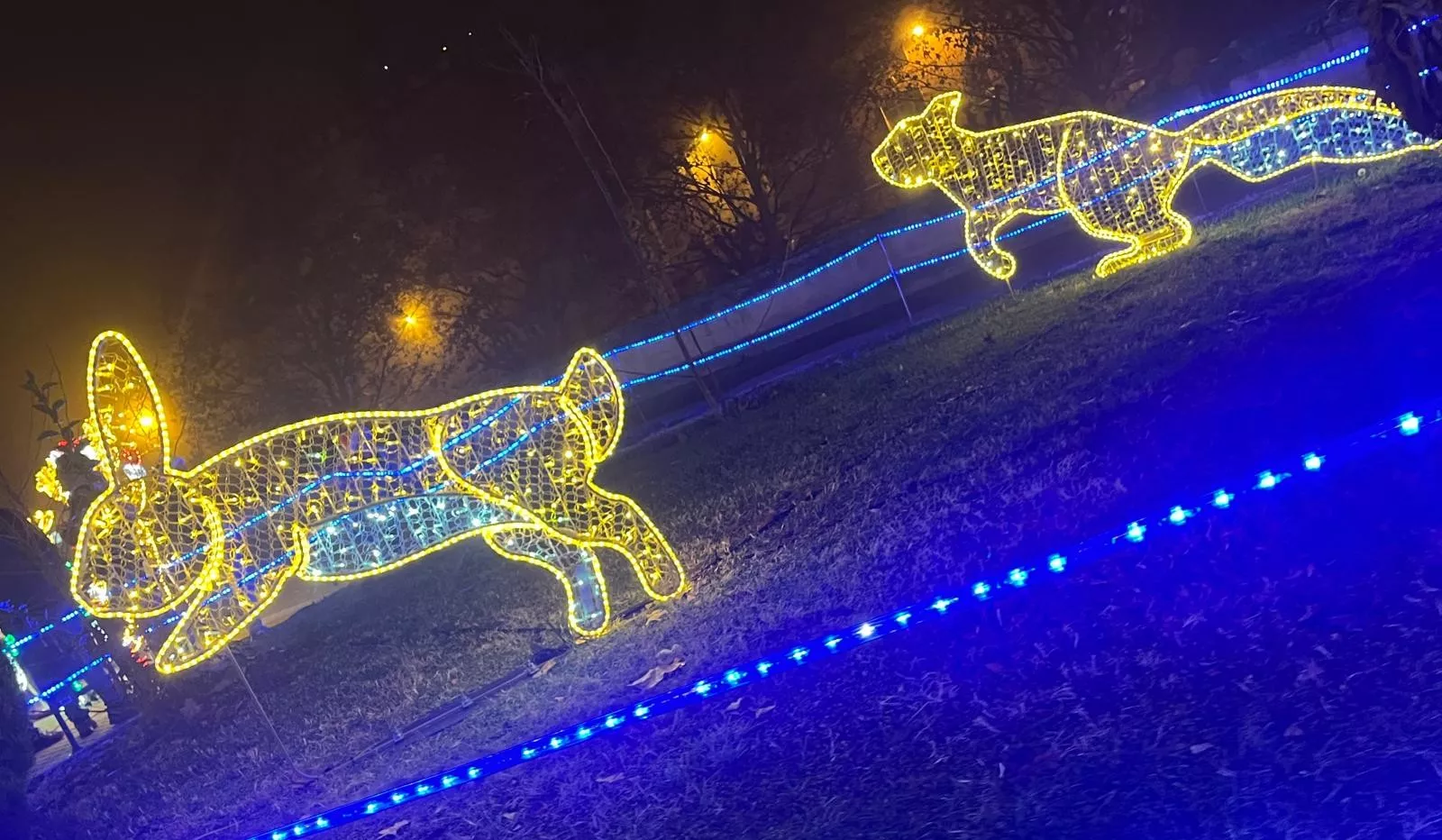 Monzón se ilumina esta Navidad. Foto Mercedes Manterola