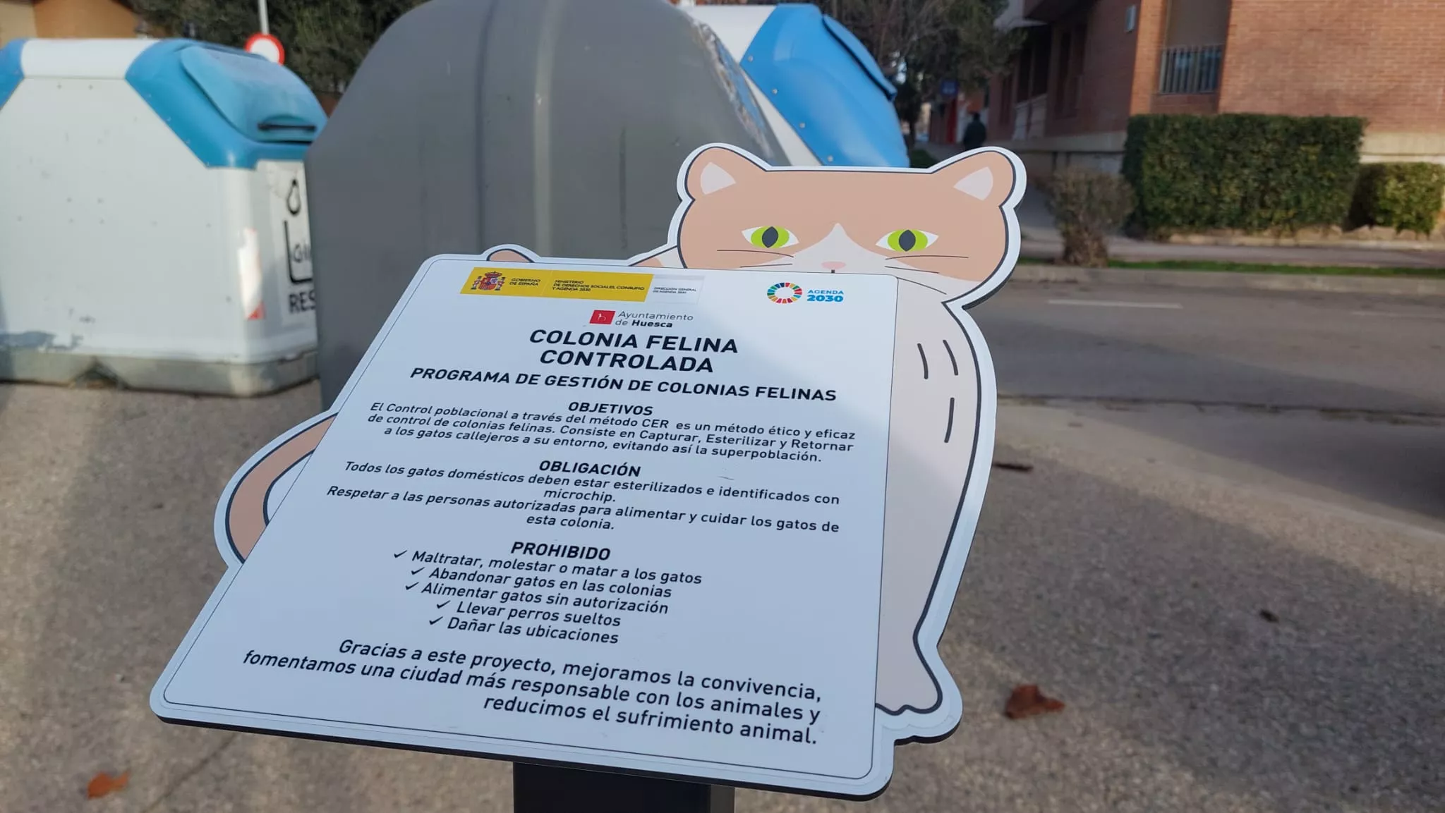Hito en la Colonia Felina Controlada de la calle Los Olivos