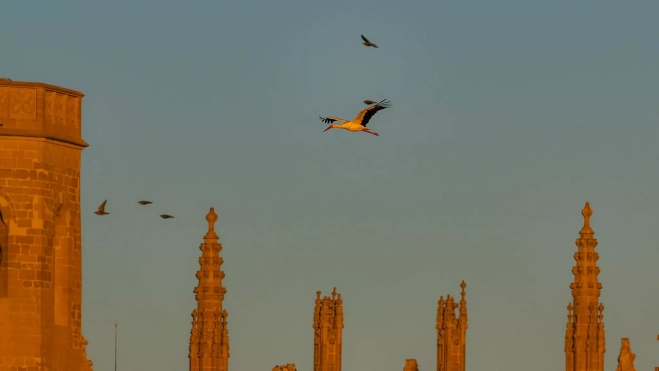 En el cielo, protagonistas increíbles
