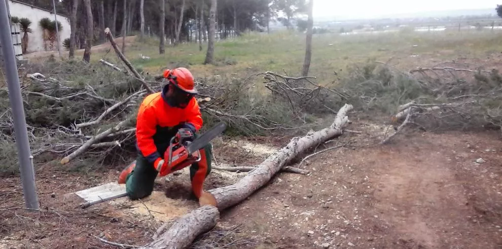 Prácticas de alumnos de operaciones forestales favorecidos por los PCPI de Educación