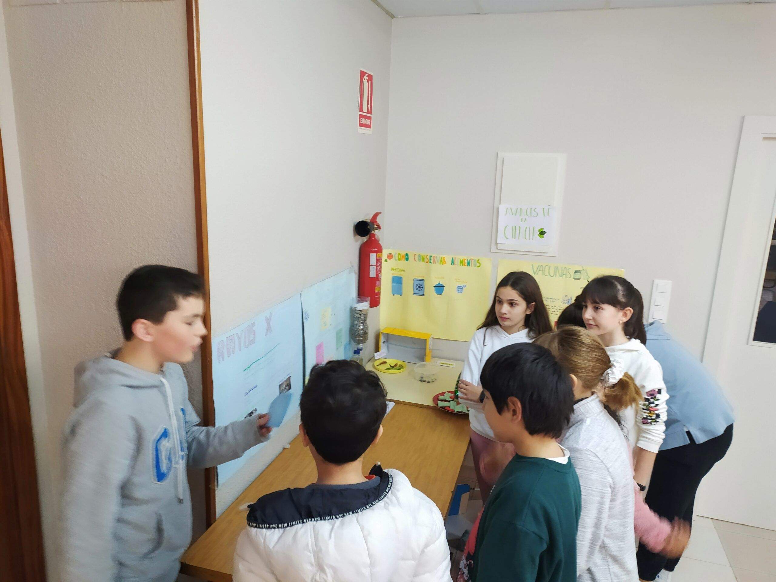 Proyecto de ciencias