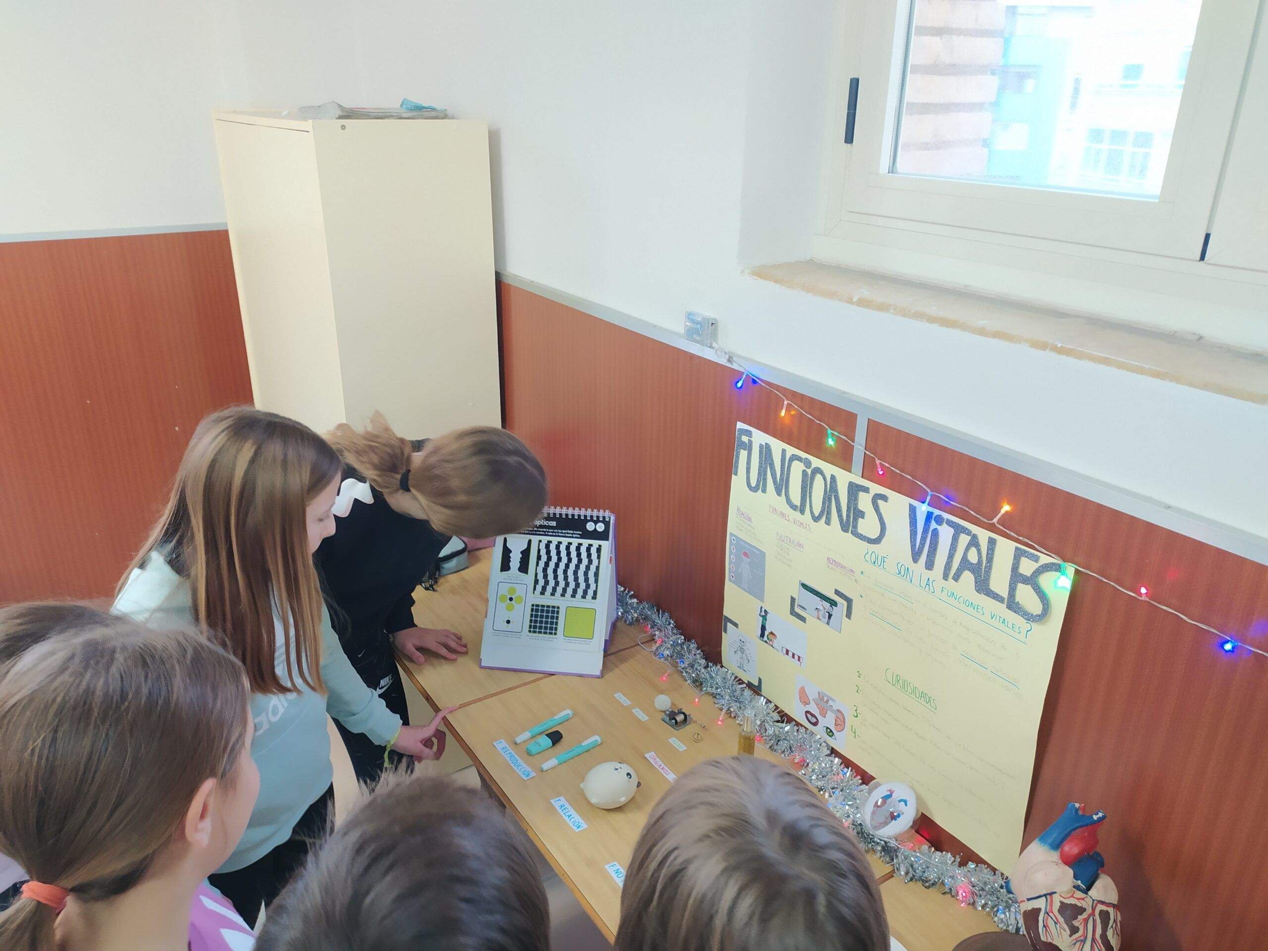 Proyecto de ciencias