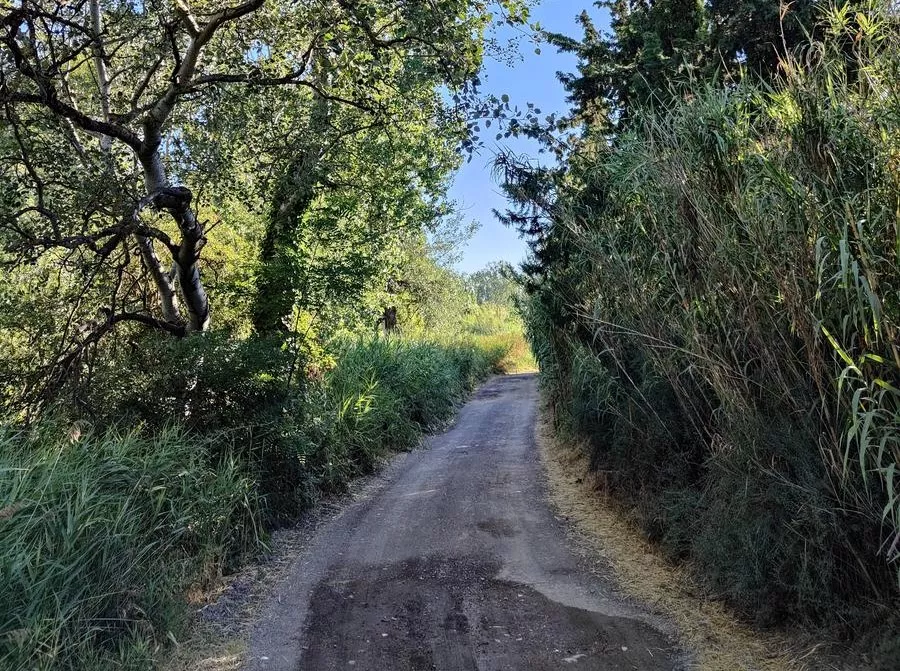 Adjudicada la reparación del pavimento entre los caminos de los Cierzos y de las Cruces.