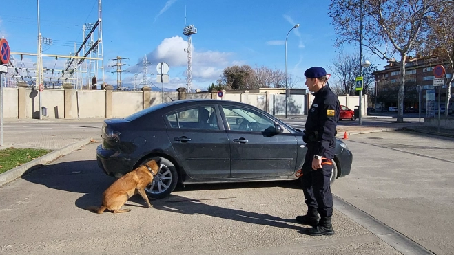 Detecta dónde está escondida la droga en un vehículo.