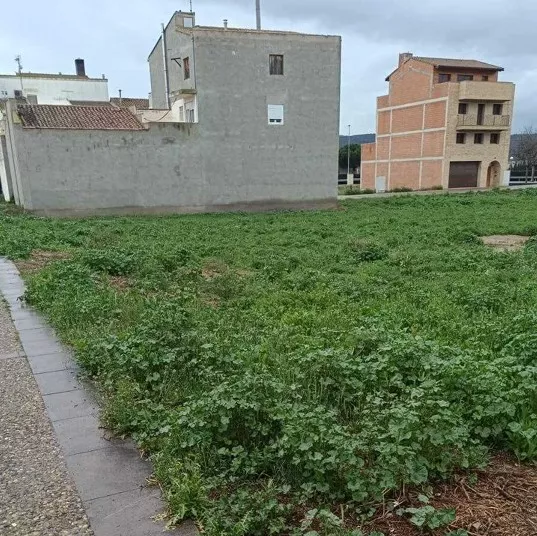 Solar Trashondos. Solar Trashondos.