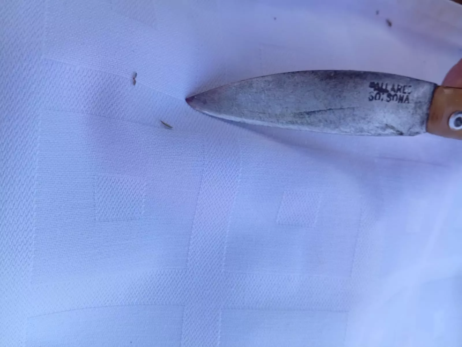 Tradición de los langostos de Abizanda. Fotos Ismael Ferrer