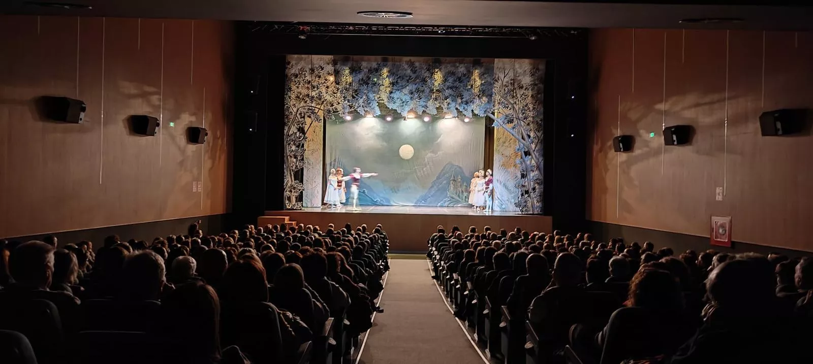 Representación del Lago de los Cisnes en la Sala Florida de Fraga.