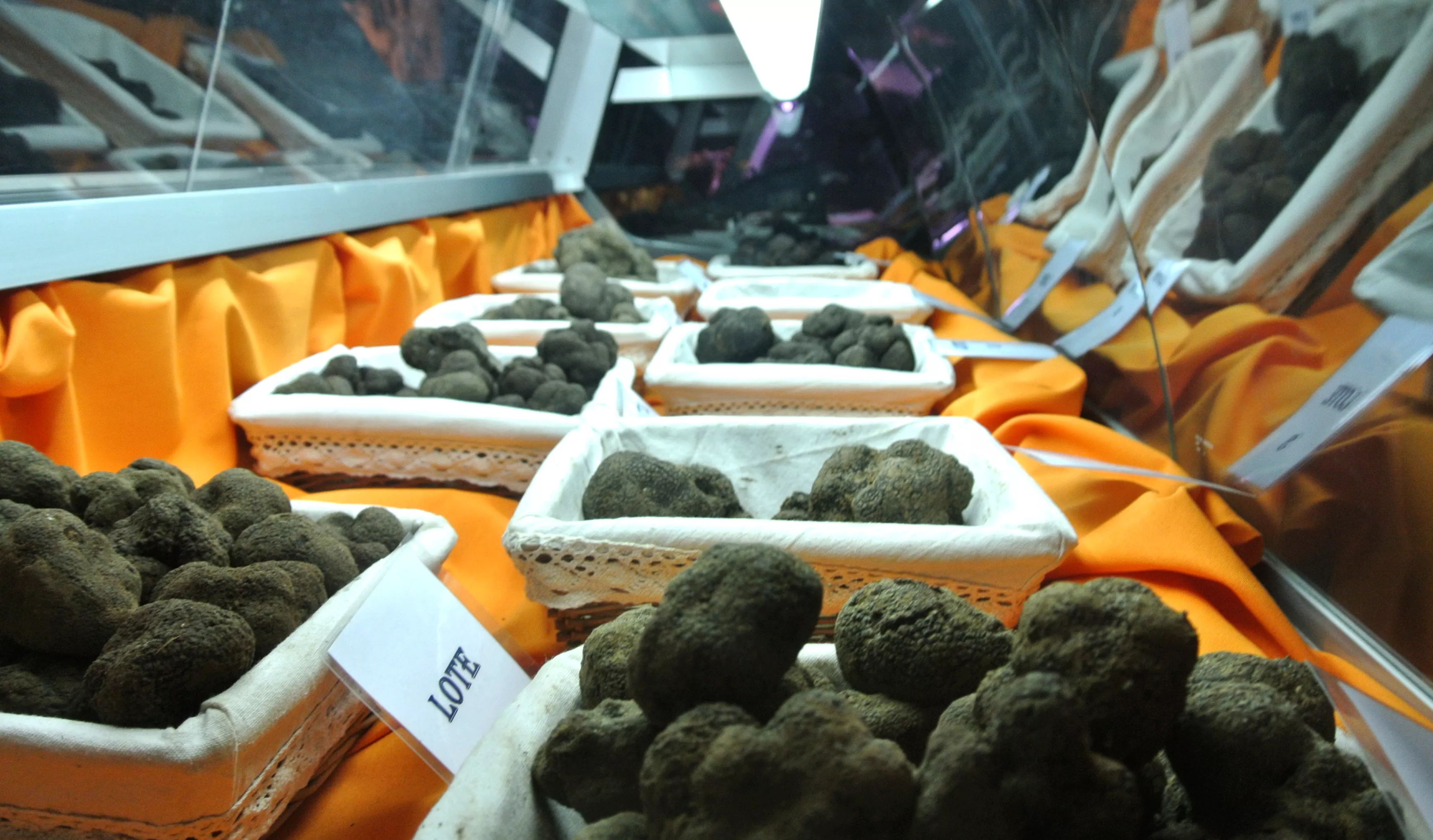 El Mercado de la Trufa de Graus es uno de los más antiguos de España.