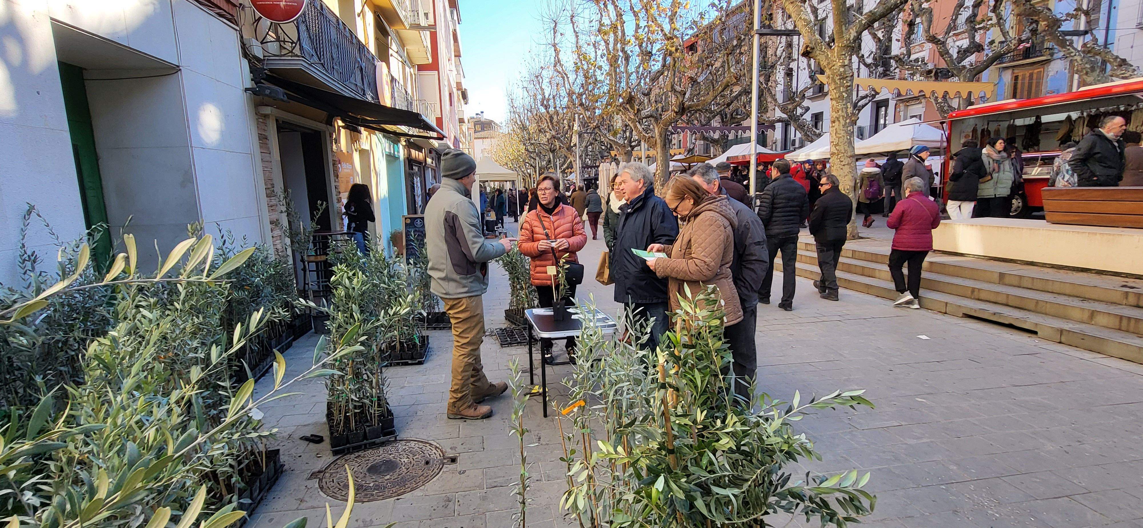 Feria de la Candelera