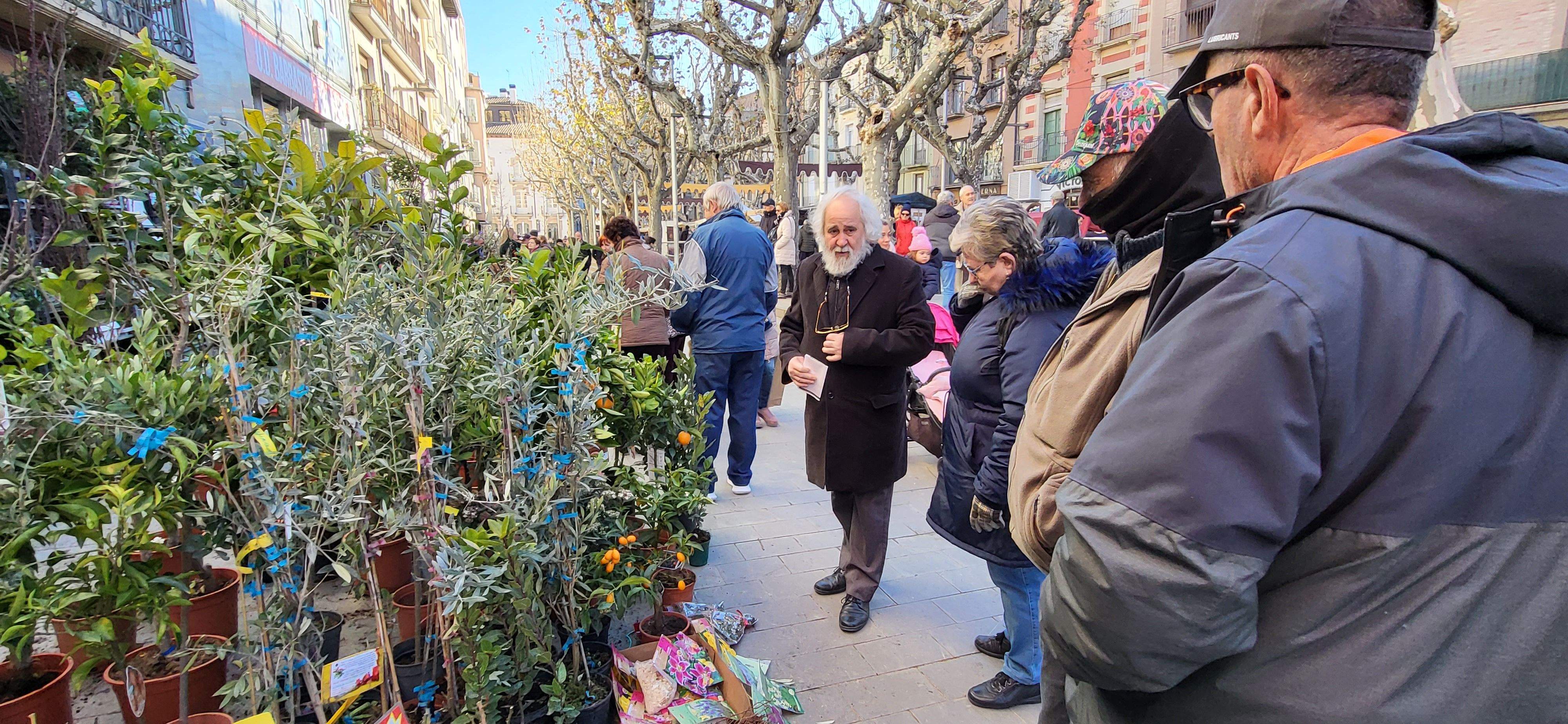 Feria de la Candelera