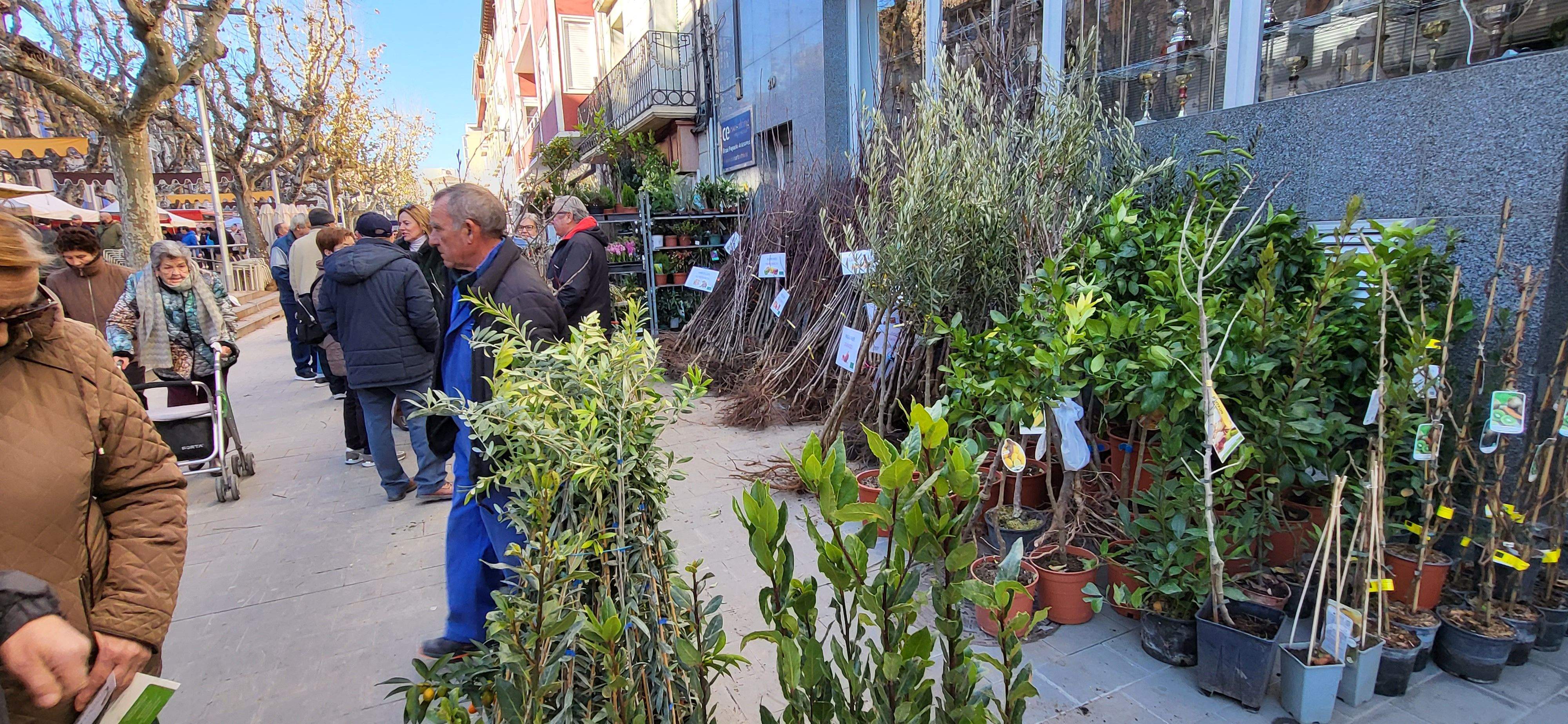 Feria de la Candelera