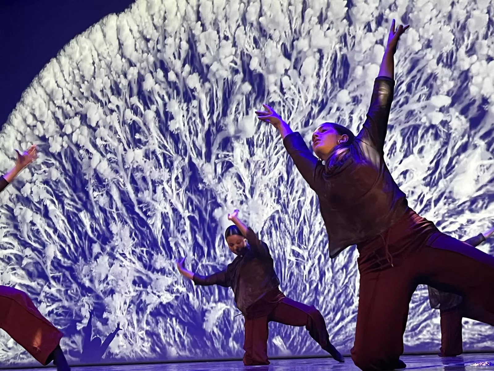 XXXII Muestra de Danza Ciudad de Huesca. Foto Mercedes Manterola