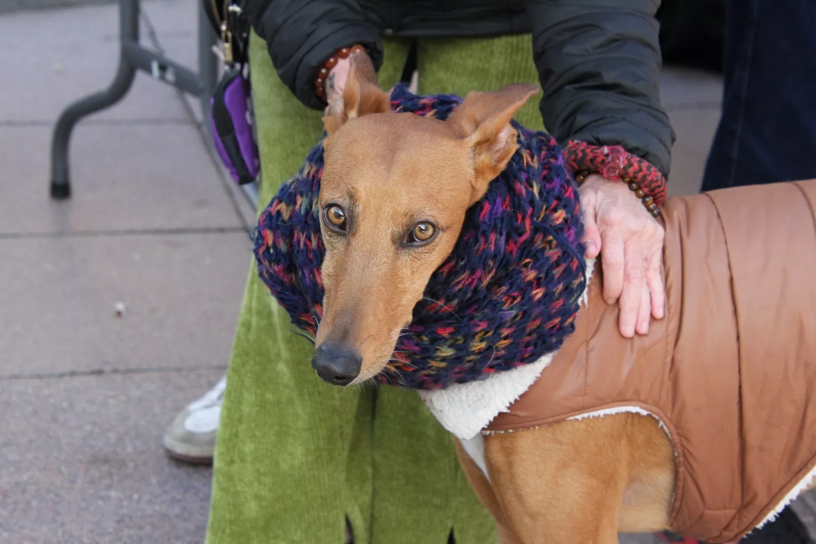 Concentración en Huesca por los derechos de los animales. Foto Carlos Neofato