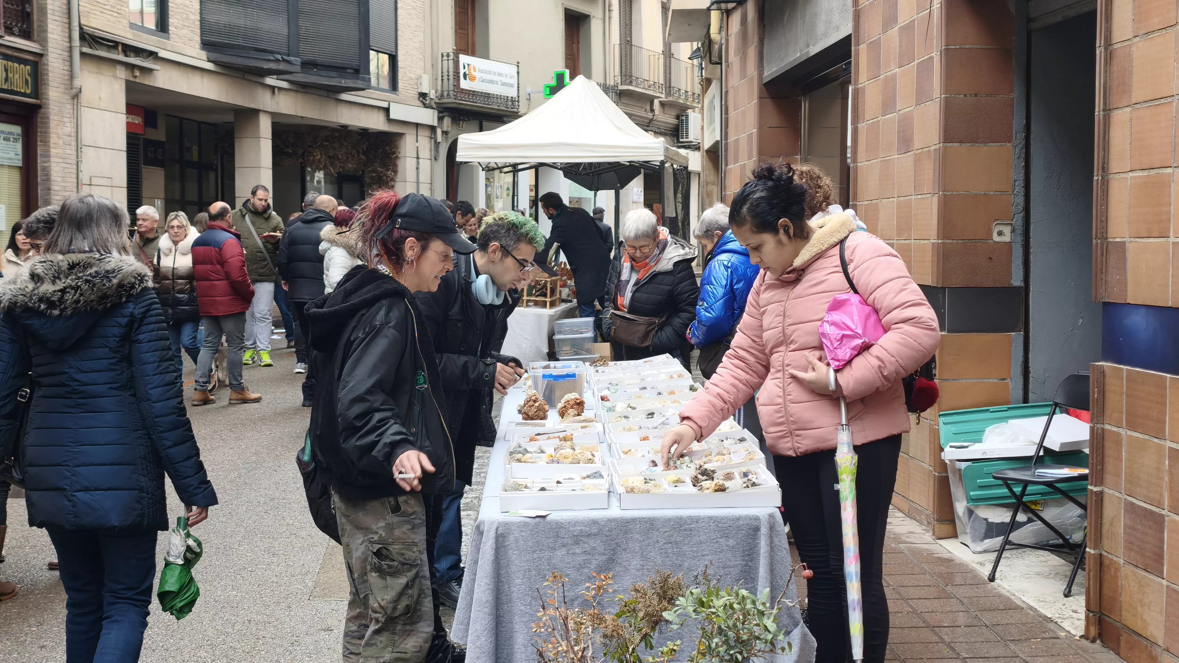 Feria de la Candelera de Barbastro. Fotos María José Sampietro