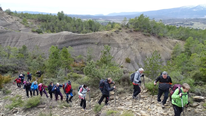 DSC00099 1 DSC00099 1