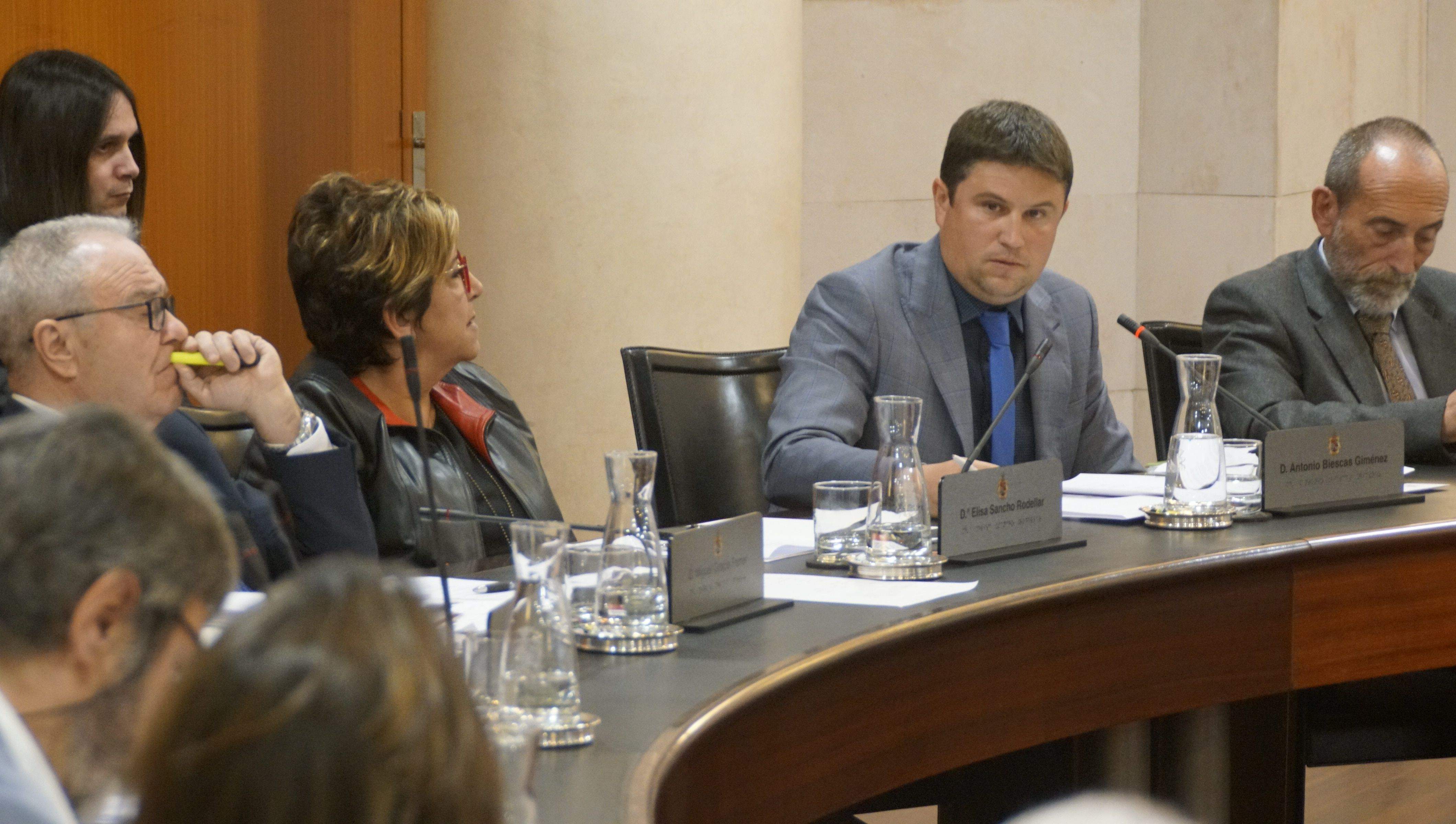 Antonio Biescas, portavoz del PSOE en la DPH, durante una sesión plenaria anterior. 