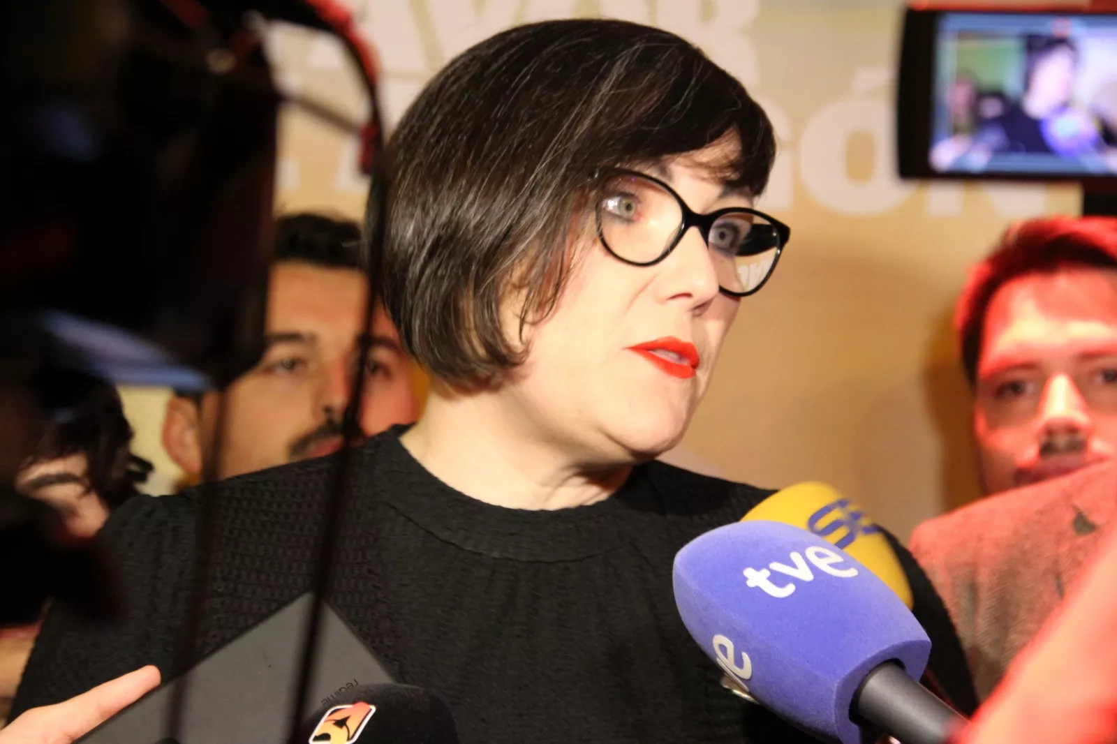 Mitin central de CHA en Huesca. Foto Carlos Neofato