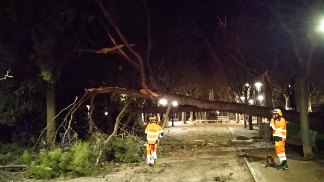 Primera inspección de lo sucedido.