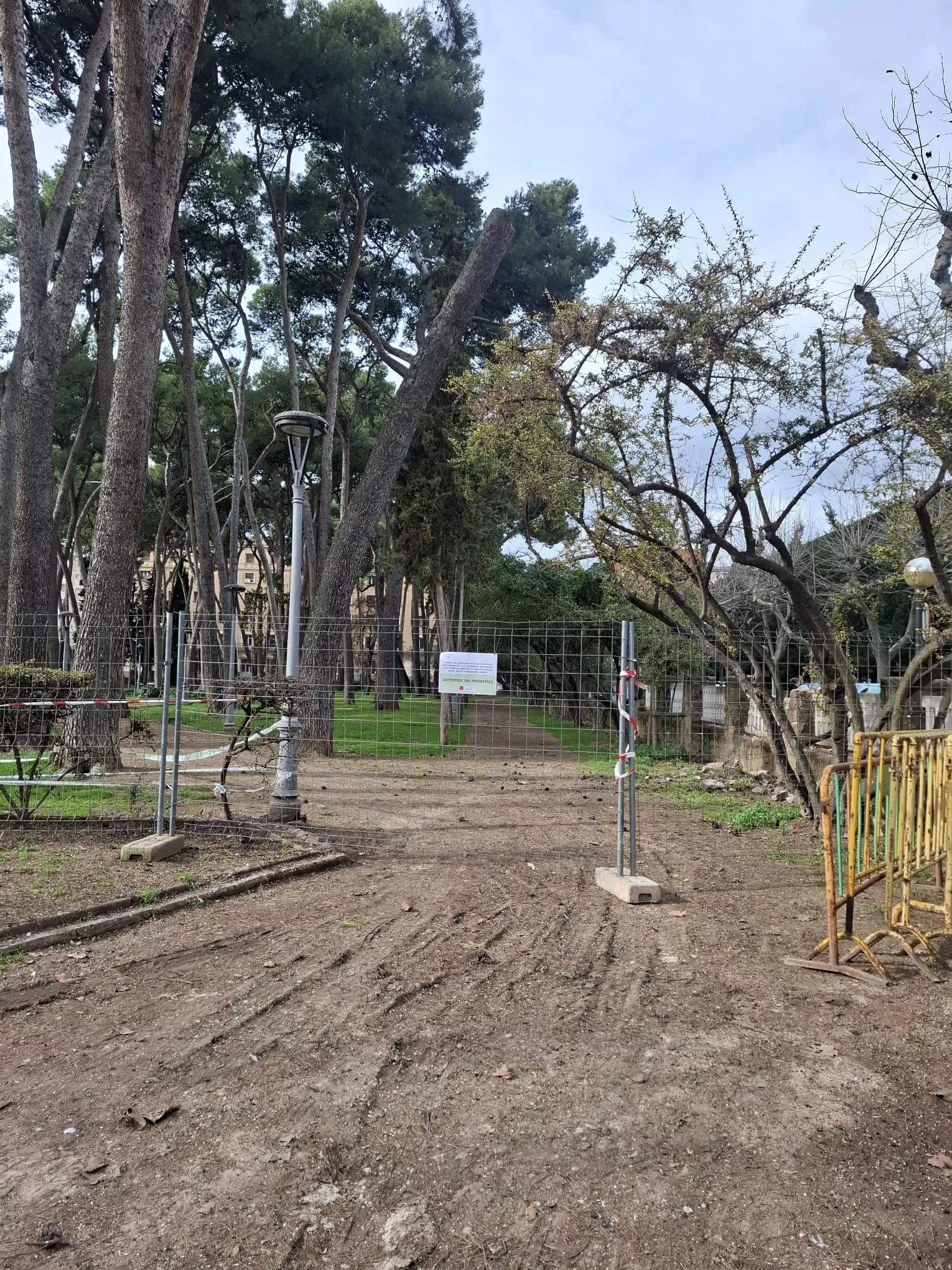 Pinar del Parque Miguel Servet