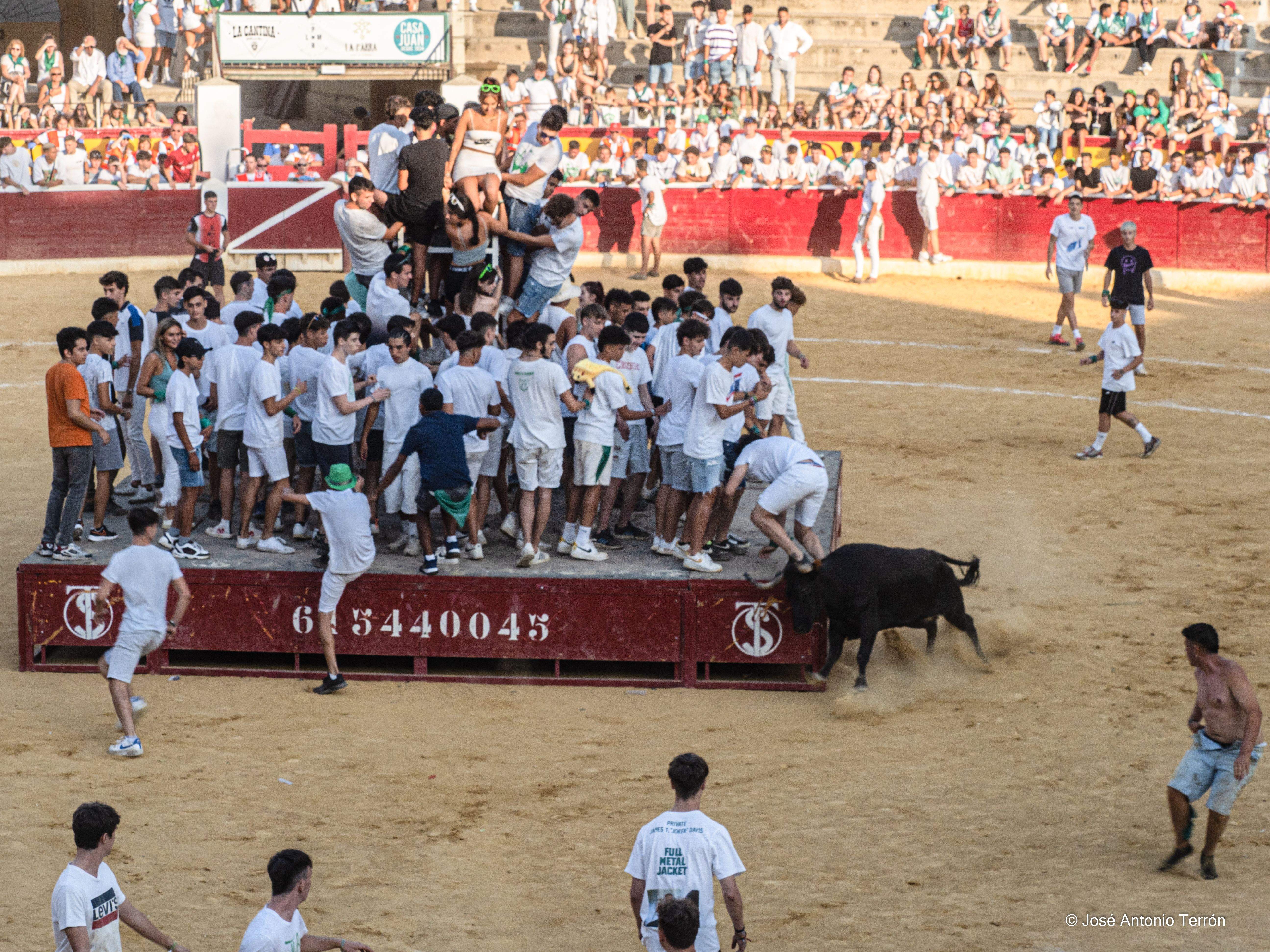 Vaquillas del día 11 de San Lorenzo. Foto José Antonio Terrón 