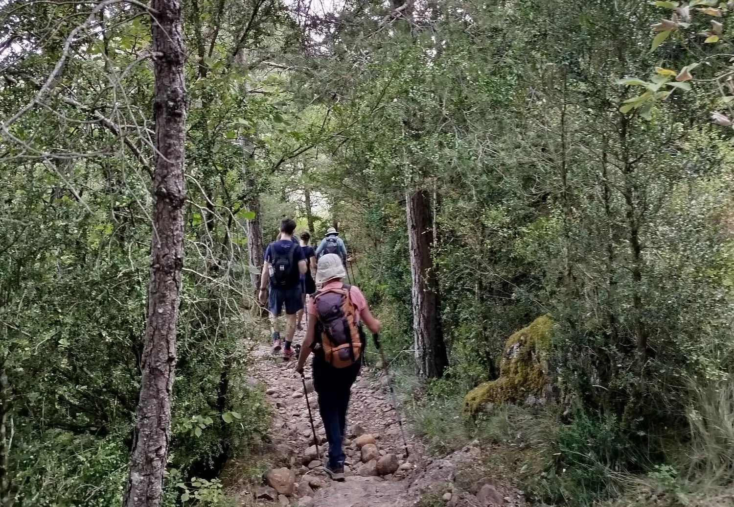 El Camino Francés por Aragón, excluido en una nueva guía internacional.