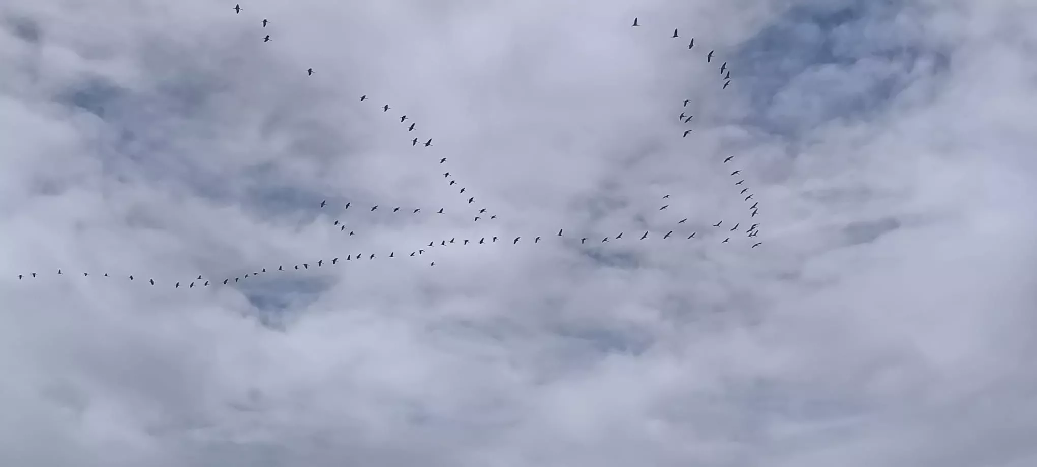 Ordenadas, silenciosas. Foto Joaquín Santafé